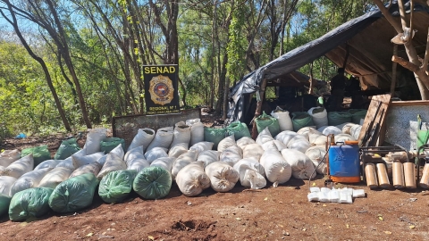 SENAD desbarata logística narco para complejos de producción de marihuana en Amambay