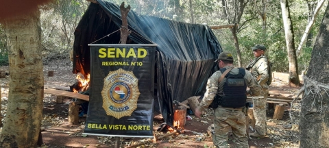 DETECTAN NARCO-CAMPAMENTOS Y DESTRUYEN 12 TONELADAS DE DROGAS EN BELLA VISTA NORTE