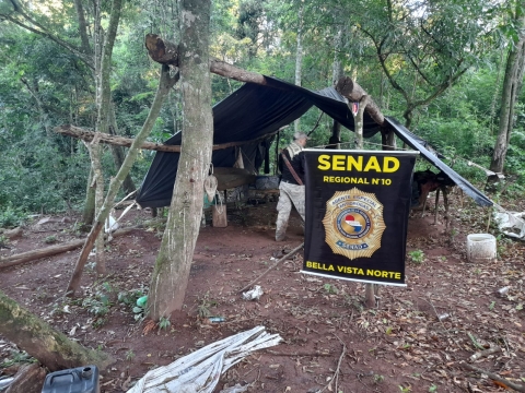 SENAD localiza narcocampamentos y destruye 12 toneladas de droga en Bella Vista Norte