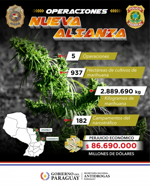 Nueva Alianza - SENAD eliminó casi 3 millones de kilogramos de Marihuana en conjunto con la Policía Federal del Brasil