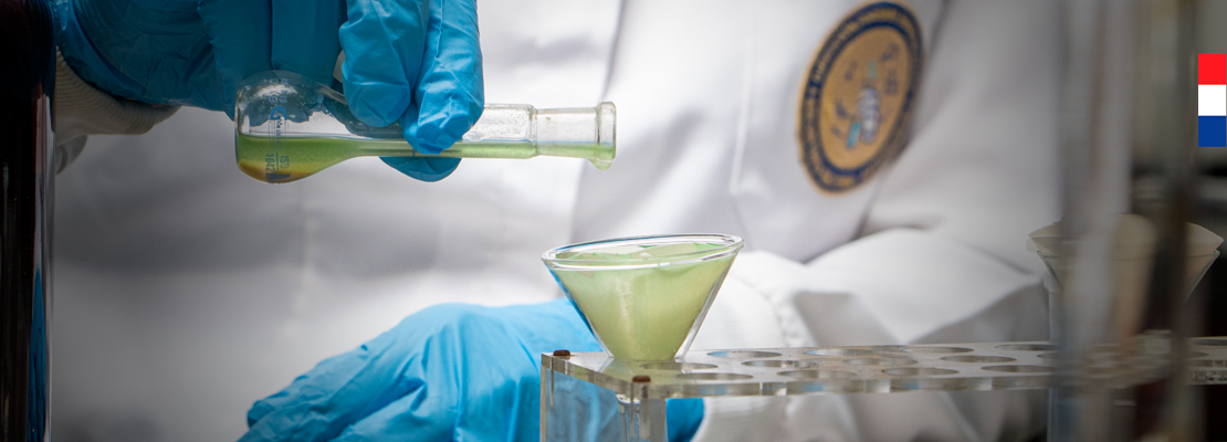 laboratorio03