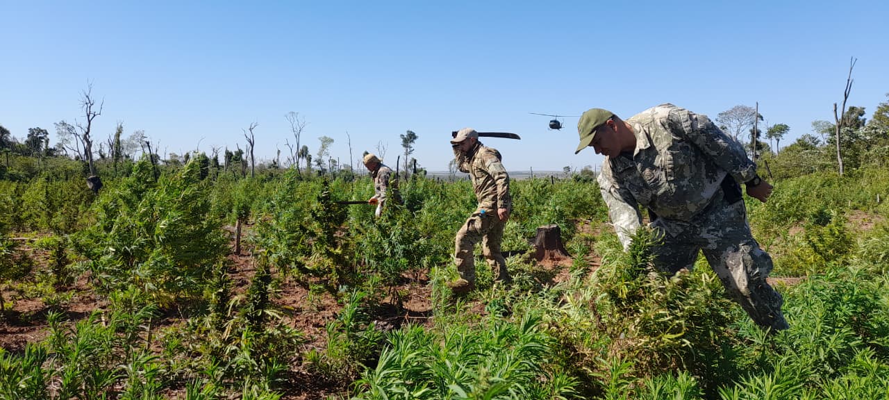 AVANZA LA OPERACIÓN NUEVA ALIANZA 53 CON IMPORTANTES GOLPES AL NARCOTRÁFICO EN ZONAS FRONTERIZAS