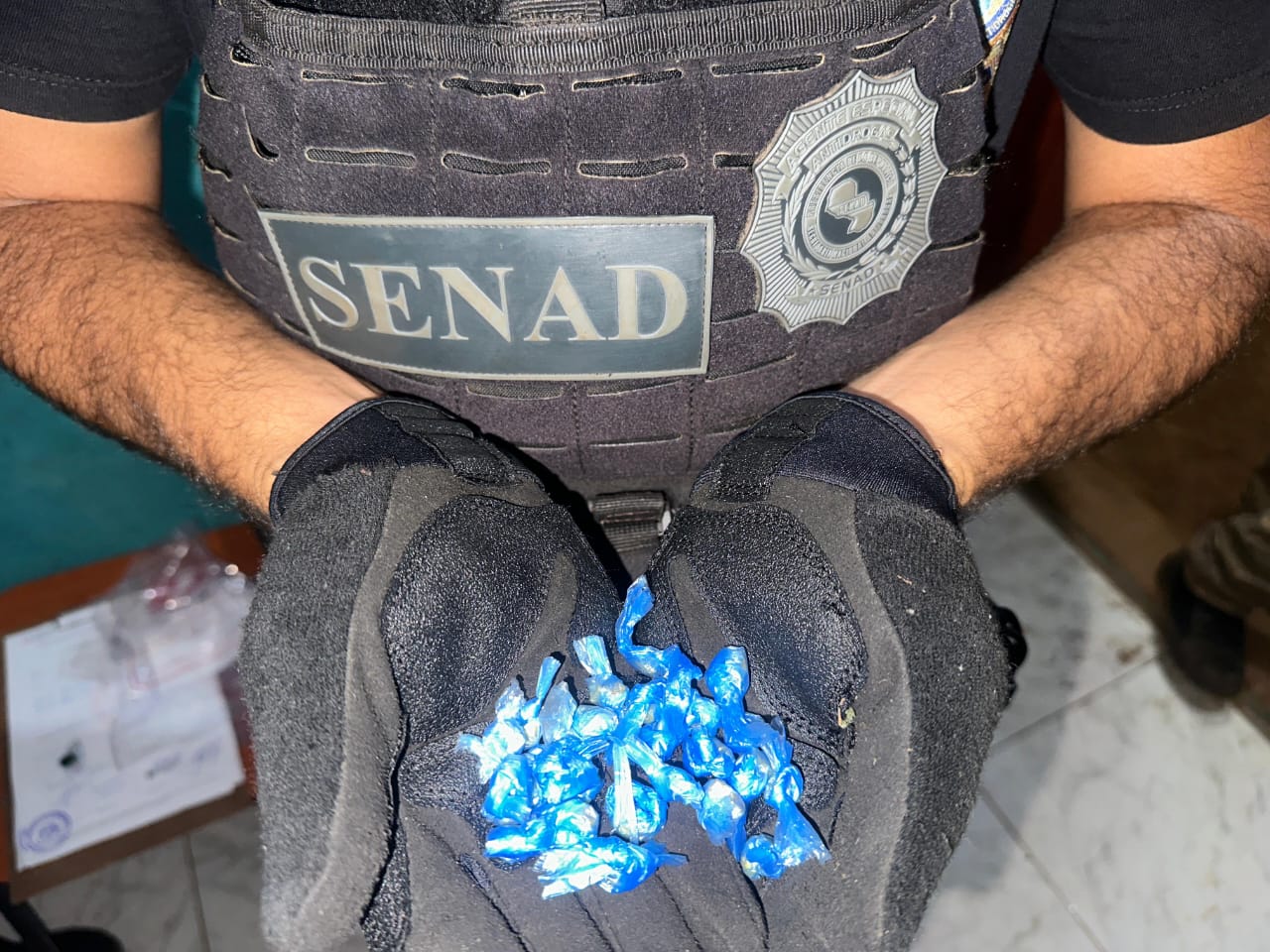 MICROTRÁFICO BAJO LA LUPA EN CONCEPCIÓN: SENAD INTERVIENE VIVIENDA Y FRENA FOCO DE VENTA DE CRACK