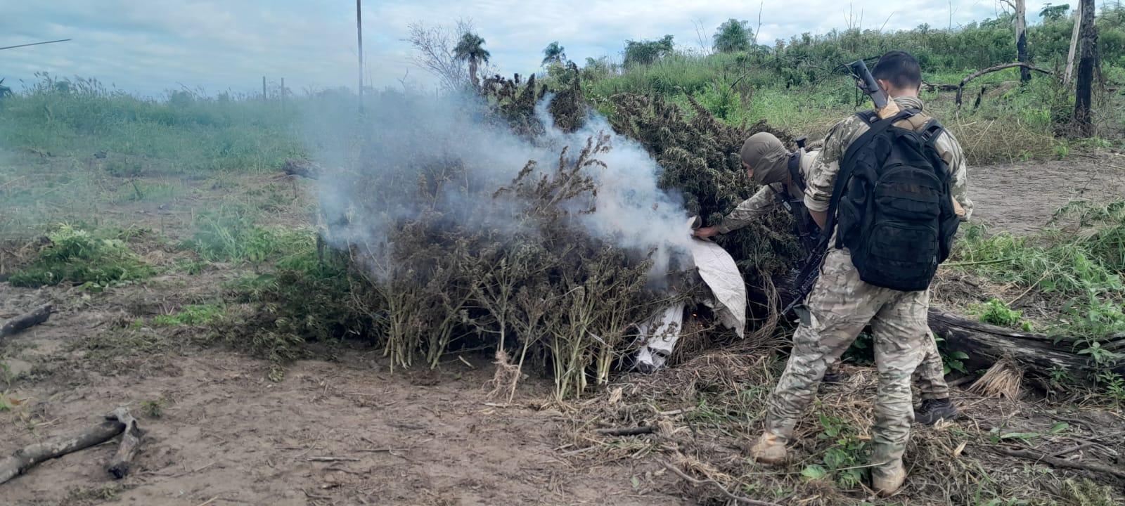 OPERACIÓN “NUEVA ALIANZA 54” YA SACÓ DE CIRCULACIÓN 200 TONELADAS DE MARIHUANA EN 6 DÍAS