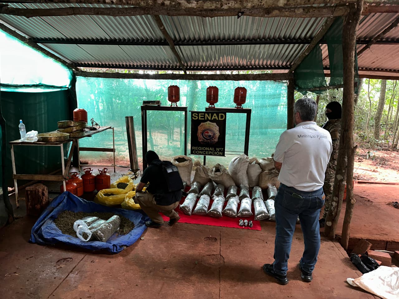 SENAD DESMANTELA LABORATORIO CLANDESTINO Y SACA DE CIRCULACIÓN MÁS DE 118 KILOS DE MARIHUANA EN SAN PEDRO