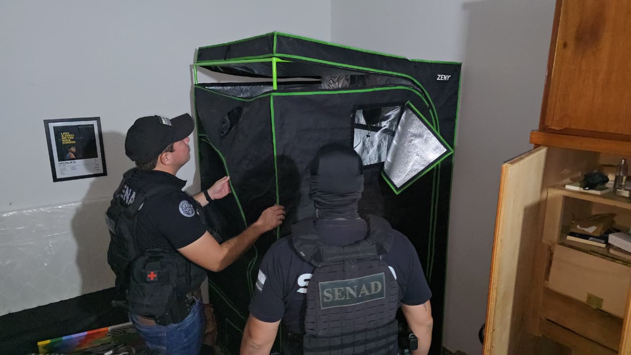 SENAD DETECTA PRODUCCIÓN INDOOR DE MARIHUANA Y DETIENE A UN HOMBRE EN ASUNCIÓN