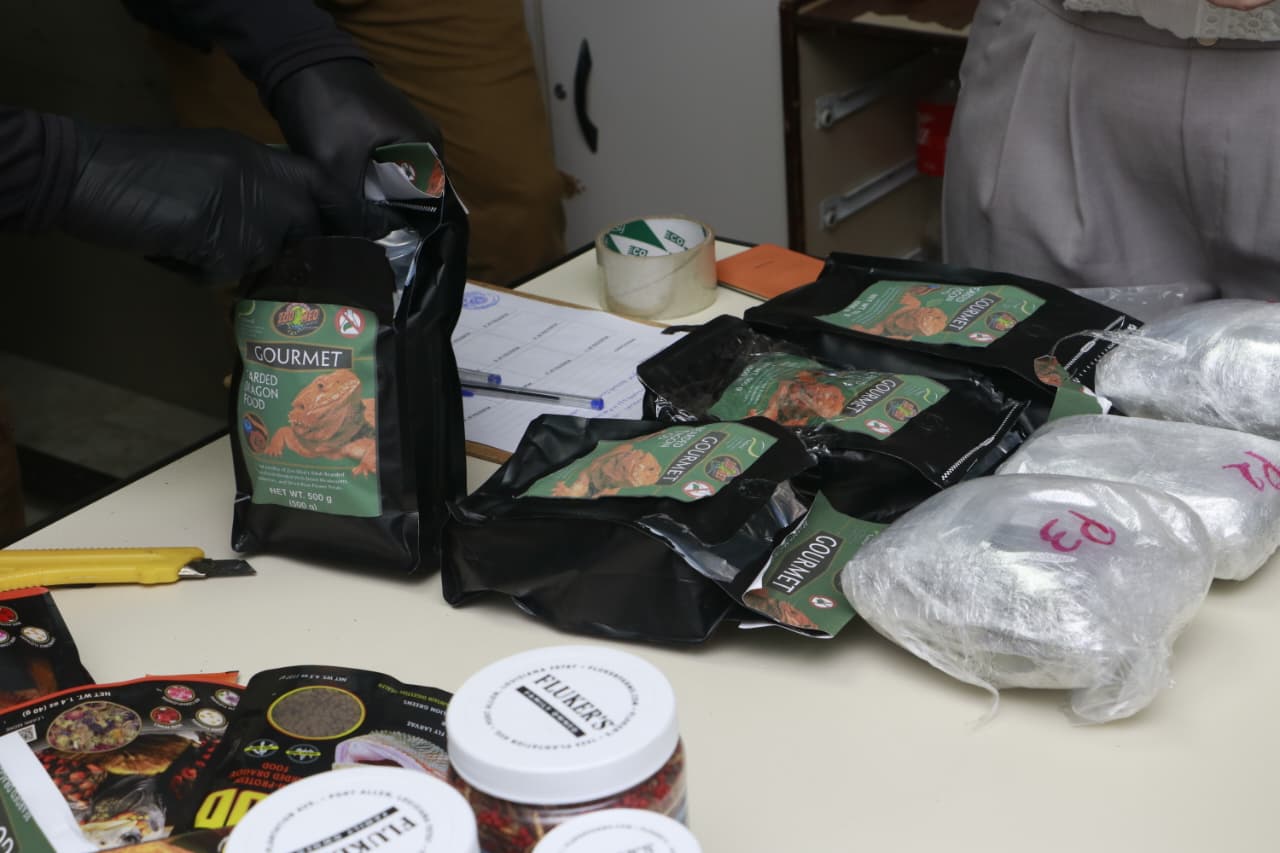 SENAD DETECTA INGRESO DE DROGA OCULTA ENTRE ALIMENTOS PARA REPTILES.